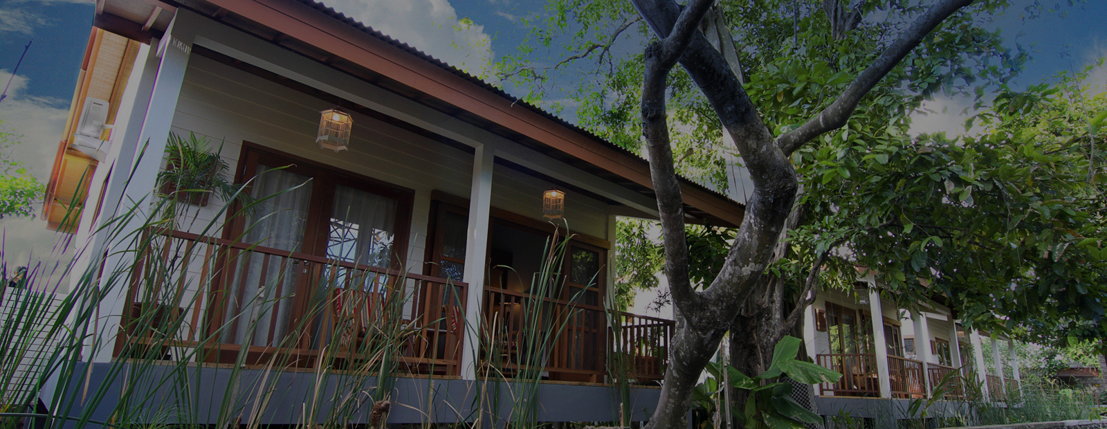 Exterior Tree House